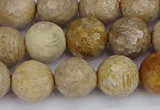 CFC231 15.5 inches 10mm faceted round fossil coral beads