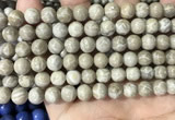 CFC332 15.5 inches 8mm round fossil coral beads wholesale
