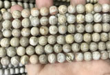 CFC333 15.5 inches 8mm round fossil coral beads wholesale