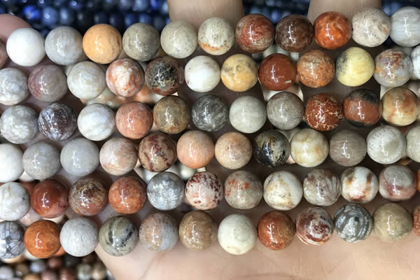 CFC342 15.5 inches 8mm round red fossil coral beads wholesale