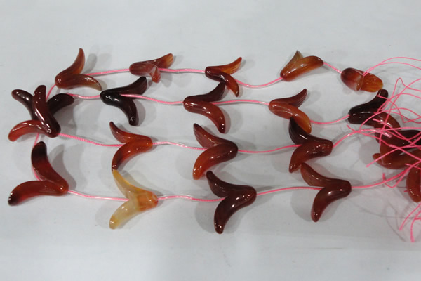 CFG504 15.5 inches 20*26mm carved flower red agate beads