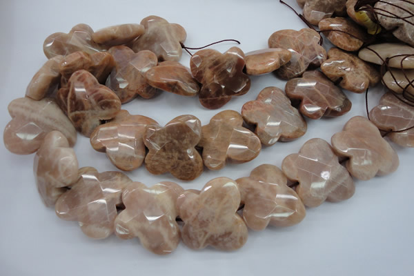 CFG933 15.5 inches 30*33mm faceted & carved butterfly moonstone beads