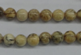 CFS02 15.5 inches 10mm round natural feldspar gemstone beads