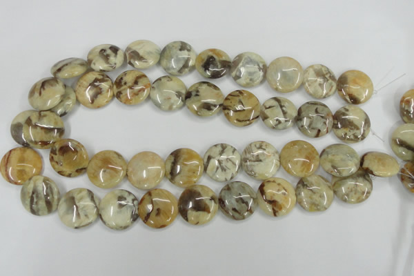 CFS204 15.5 inches 20mm flat round natural feldspar gemstone beads