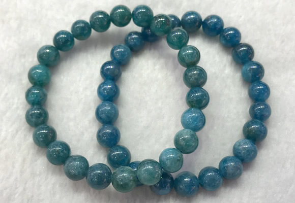 CGB2621 7.5 inches 8mm round natural apatite beaded bracelets