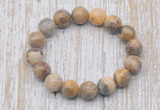 CGB5348 10mm, 12mm round yellow crazy lace agate beads stretchy bracelets