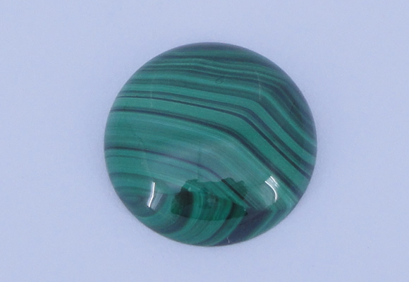 CGC16 20pcs 5mm flat round natural malachite gemstone cabochons