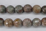 CGG14 15.5 inches 10mm faceted round ghost gemstone beads wholesale