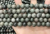 CGJ513 15.5 inches 10mm round green forst jasper beads wholesale