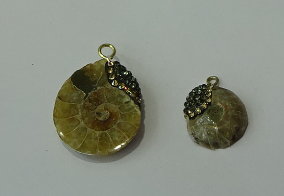 CGP270 15*18mm - 22*28mm ammonite pendants wholesale