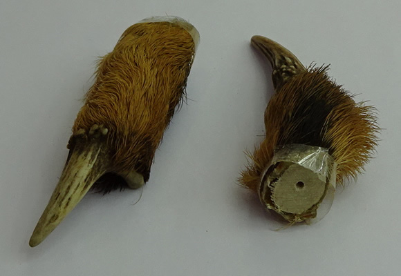 CGP543 12*65mm - 15*70mm deer-horn pendants wholesale