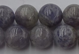 CIL103 15.5 inches 10mm round iolite gemstone beads wholesale