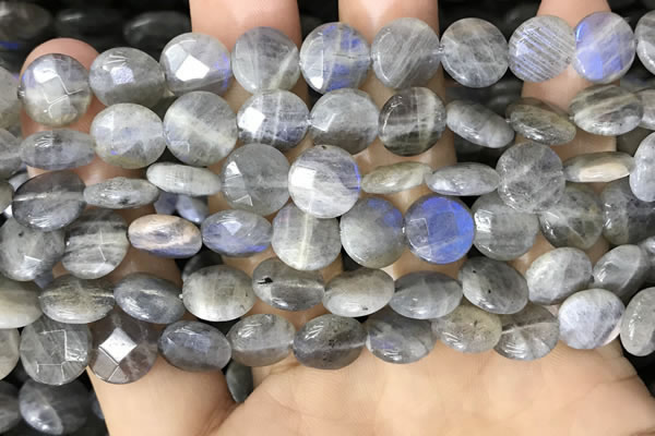 CLB1038 15.5 inches 10mm faceted coin labradorite beads wholesale