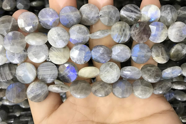 CLB1039 15.5 inches 12mm faceted coin labradorite beads wholesale