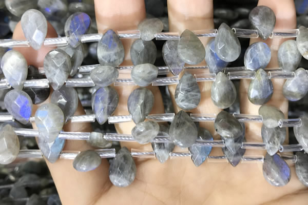 CLB1044 Top drilled 8*12mm faceted briolette labradorite beads