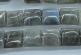 CLB132 15.5 inches 12*12mm square labradorite gemstone beads