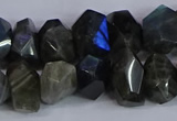 CLB232 15.5 inches 10*14mm - 13*18mm faceted nuggets labradorite beads