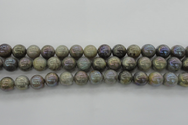 CLB605 15.5 inches 14mm round AB-color labradorite beads