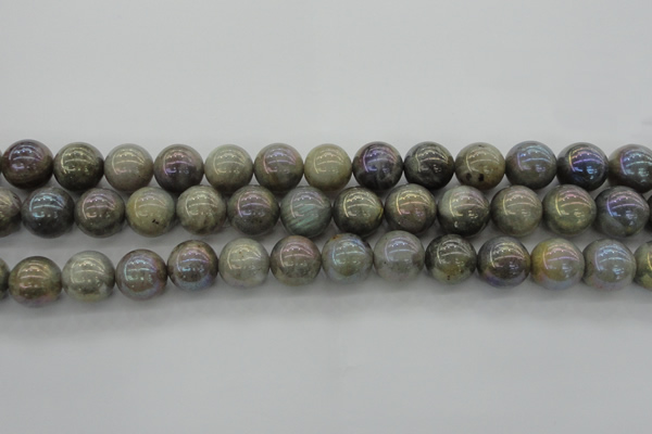 CLB606 15.5 inches 16mm round AB-color labradorite beads
