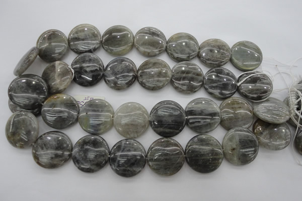 CLB739 15.5 inches 30mm flat round labradorite gemstone beads