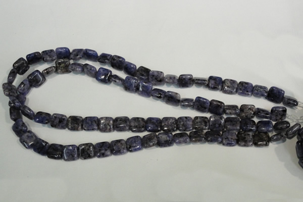 CLJ263 15.5 inches 10*10mm square dyed sesame jasper beads wholesale