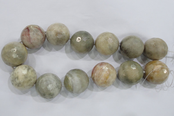 CLS04 15.5 inches 30mm faceted round large fossil coral beads