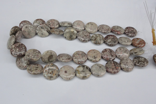 CMB11 15.5 inches 20mm flat round natural medical stone beads