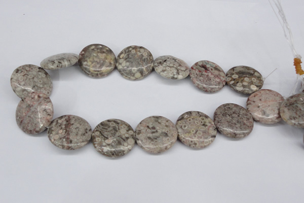 CMB14 15.5 inches 30mm flat round natural medical stone beads