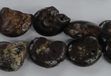 CMM51 15.5 inches 13*18mm - 15*20mm ammonite gemstone beads