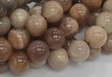CMS03 15.5 inches 10mm round moonstone gemstone beads wholesale