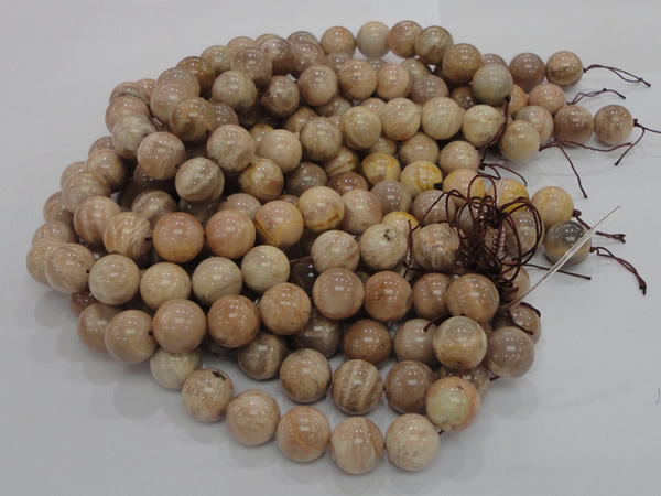 CMS05 15.5 inches 20mm round moonstone gemstone beads wholesale
