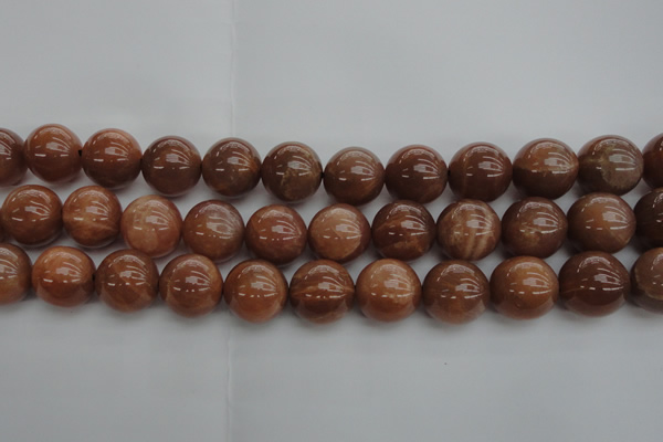 CMS1006 15.5 inches 16mm round AA grade moonstone gemstone beads