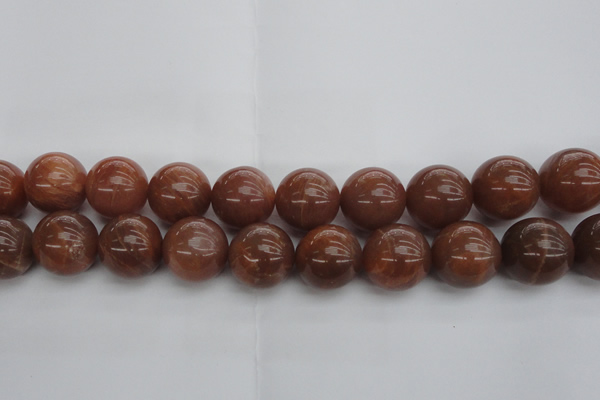 CMS1008 15.5 inches 20mm round AA grade moonstone gemstone beads
