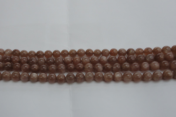 CMS1022 15.5 inches 8mm round AA grade moonstone gemstone beads