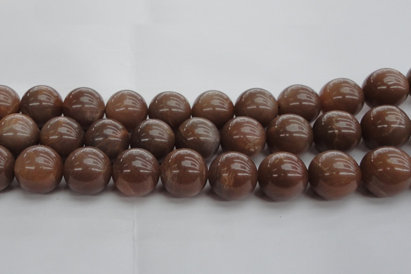 CMS1028 15.5 inches 20mm round AA grade moonstone gemstone beads