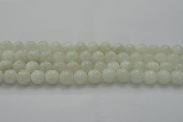 CMS1031 15.5 inches 6mm round A grade white moonstone beads