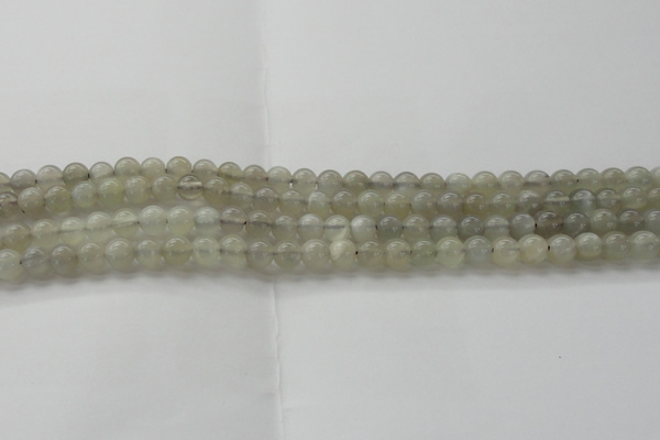 CMS1057 15.5 inches 6mm round grey moonstone beads wholesale