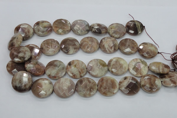 CMS114 15.5 inches 25mm faceted coin moonstone gemstone beads