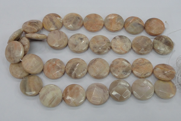 CMS116 15.5 inches 25mm faceted coin moonstone gemstone beads