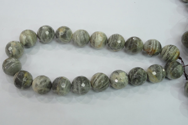 CMS127 15.5 inches 20mm faceted round moonstone gemstone beads