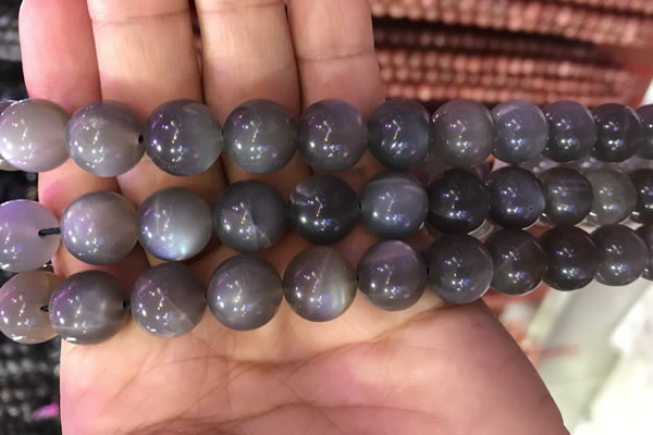 CMS1425 15.5 inches 14mm round black moonstone beads wholesale