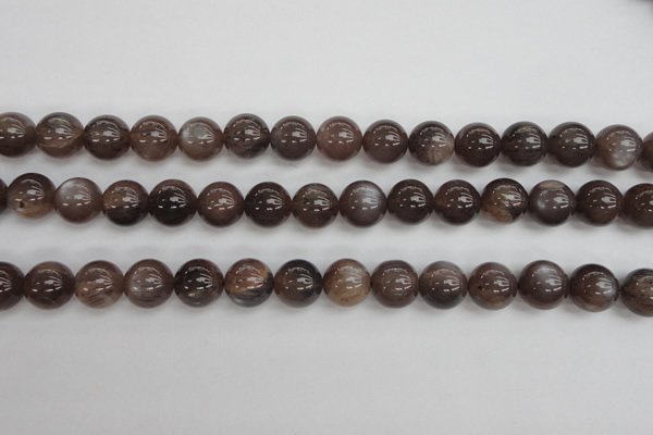 CMS143 15.5 inches 10mm round natural grey moonstone beads