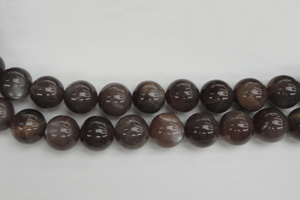 CMS149 15.5 inches 16mm round natural grey moonstone beads