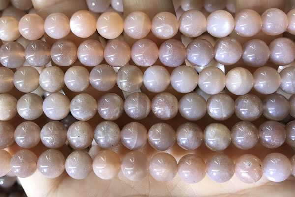 CMS1931 15.5 inches 8mm round moonstone beads wholesale