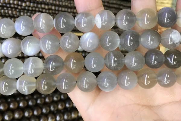 CMS1944 15.5 inches 12mm round grey moonstone beads wholesale