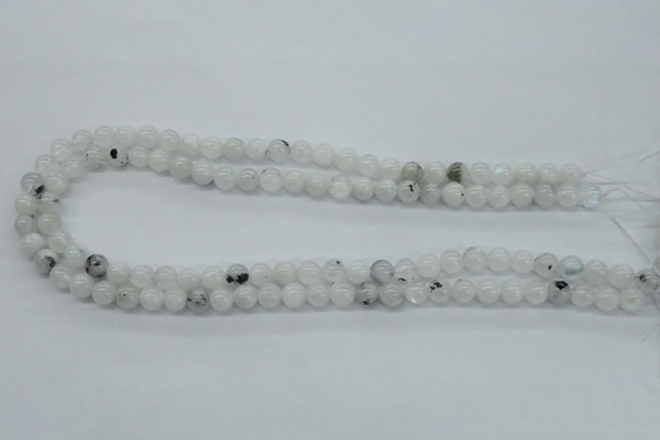 CMS202 15.5 inches 7mm round moonstone gemstone beads wholesale