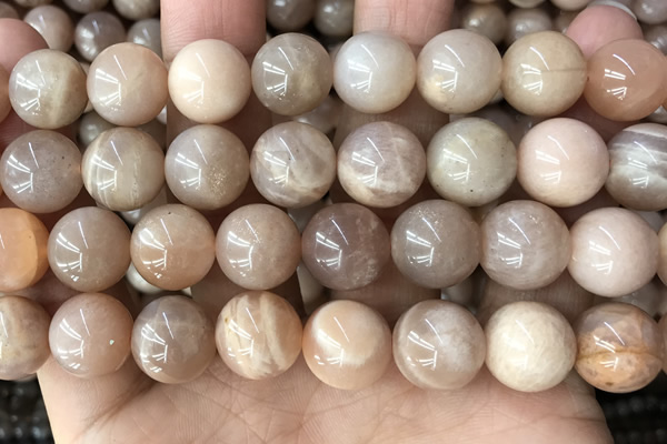 CMS2057 15.5 inches 12mm round moonstone gemstone beads