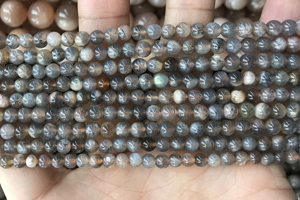 CMS2058 15.5 inches 4mm round moonstone gemstone beads