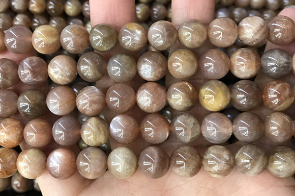 CMS2064 15.5 inches 10mm round moonstone gemstone beads
