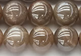 CMS2082 15 inches 10mm round AB-color moonstone beads